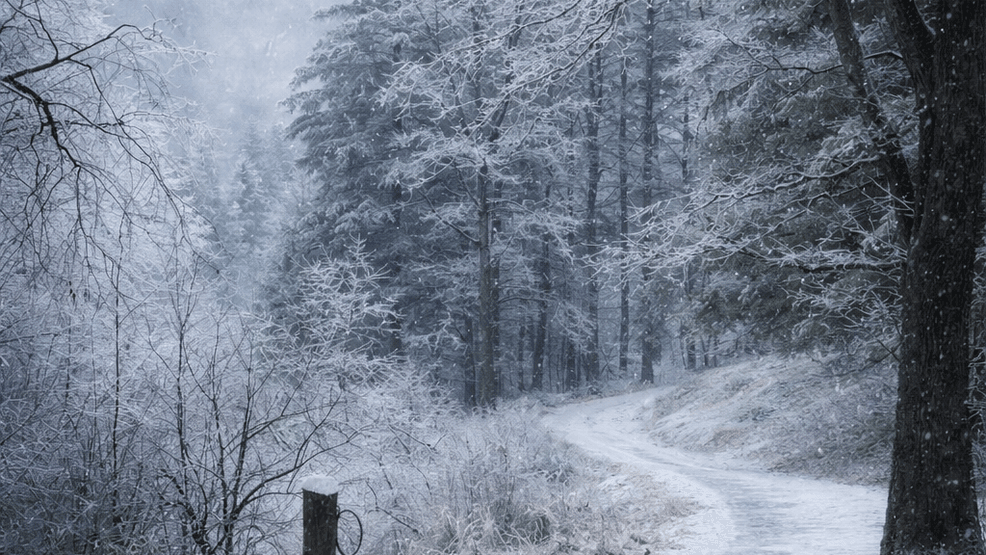 Image for story: Hurricane Helene experience guides crews in winter storm recovery