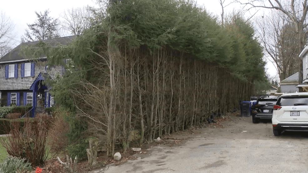 Image for story: NBC 10 I-Team: Lawmaker wins court fight with neighbors over boundary dispute