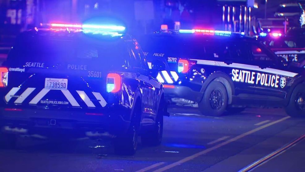 Image for story: 12-year-old Seattle boy arrested after attacking, robbing woman with screwdriver 