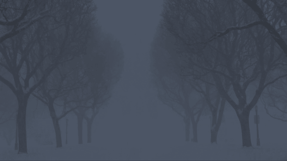 Image for story: Out-of-towners experience heavy winter storm