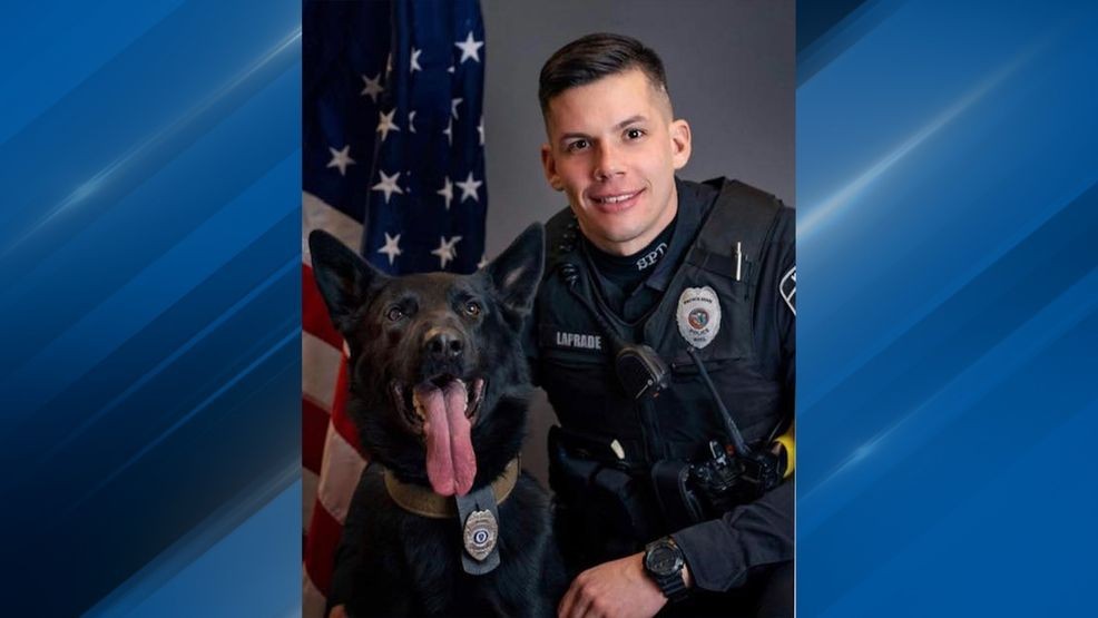 Image for story: Seekonk police K-9 Mattis retires