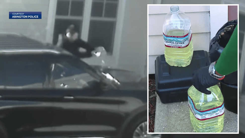 Image for story: VIDEO: Man caught red-handed while allegedly pouring gallons of gasoline on police cruiser