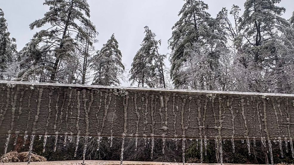 Image for story: 19,000 power outages reported in western North Carolina due to winter storm