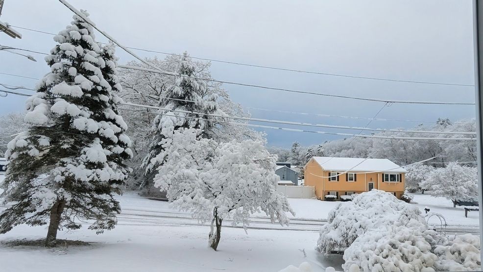 Image for story: Parts of Southern New England wake up to a half-foot of heavy, wet snow
