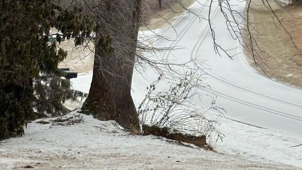 Patricia Allen - Direct Uploader - 25 Jan 2026 14_37 UTC.jpeg