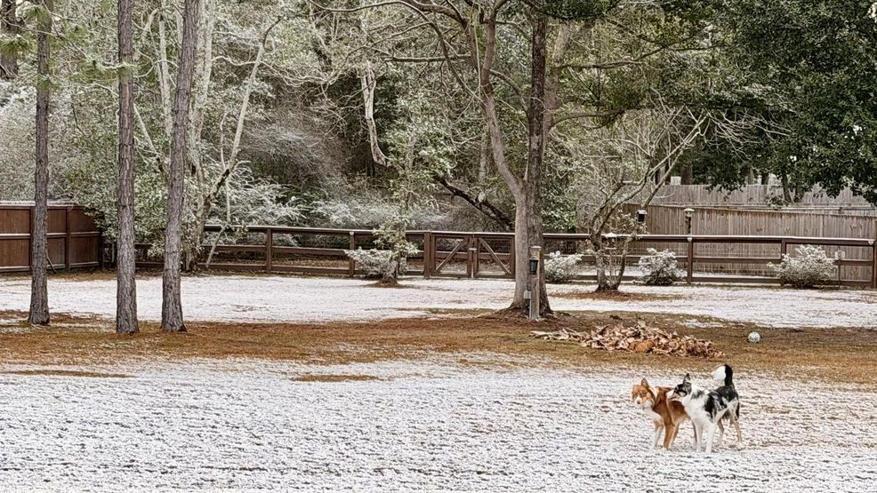 Image for story: PHOTO GALLERY: Snow hits Northwest Florida, Alabama coast for second straight year
