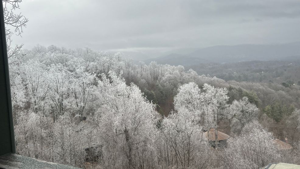 Carmen Murray - Direct Uploader - 25 Jan 2026 14_45 UTC (2).jpeg