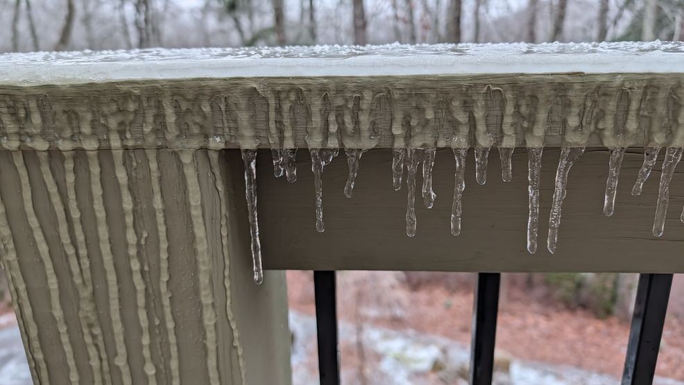 Susan Banta - Direct Uploader - 25 Jan 2026 14_12 UTC.jpg