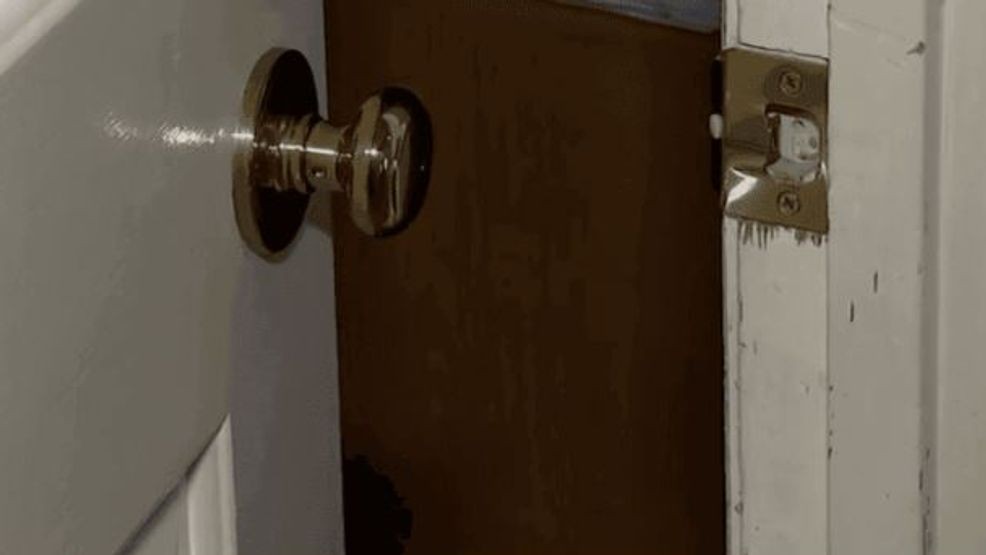 Image for story: Female DoorDash driver forced into basement of home by three armed men: Ohio police